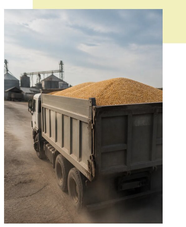 Перевозка сельхозпродукции навалом в Ступино по цене от 3118 р. | Агросервис-Стп