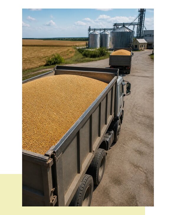 Перевозка зерна самосвалами в Ступино по регионам России
